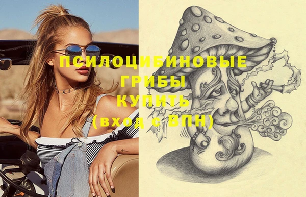 МДПВ Абаза